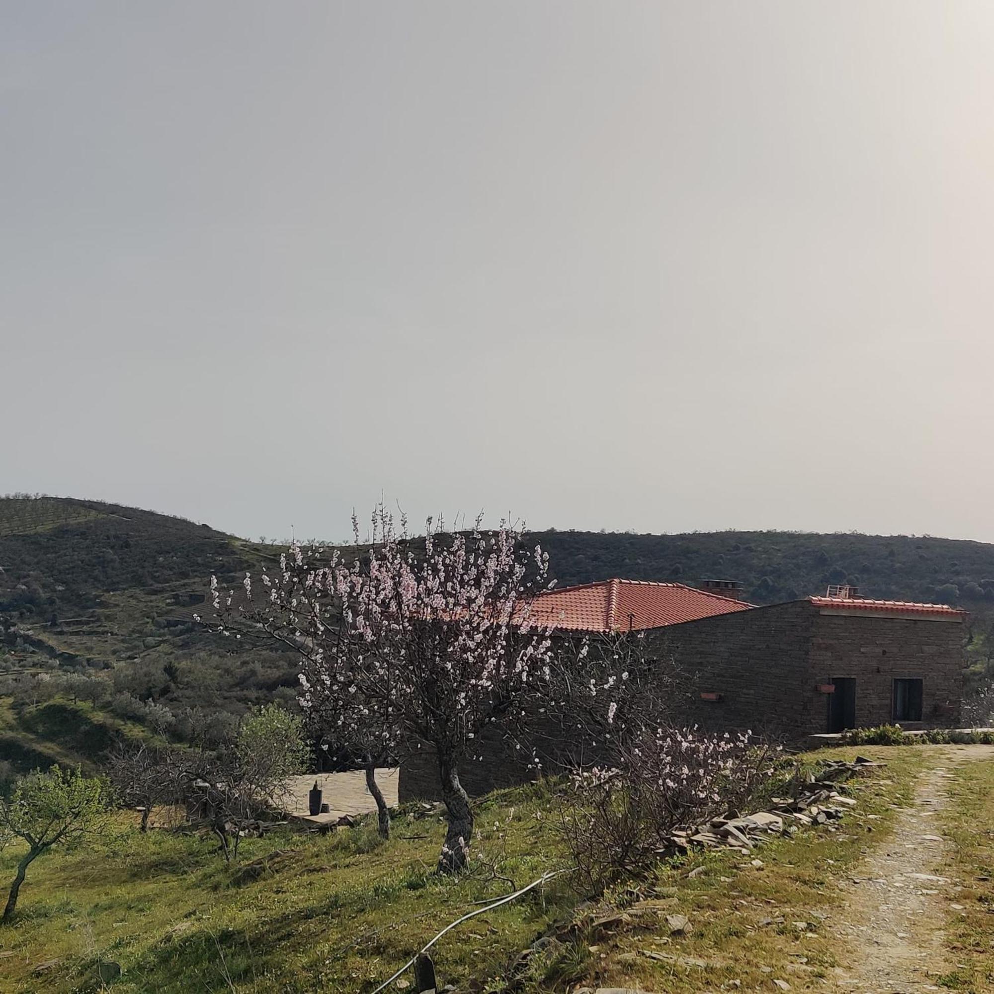 Eira Da Fraga Villa Vila Nova de Fozcoa Dış mekan fotoğraf
